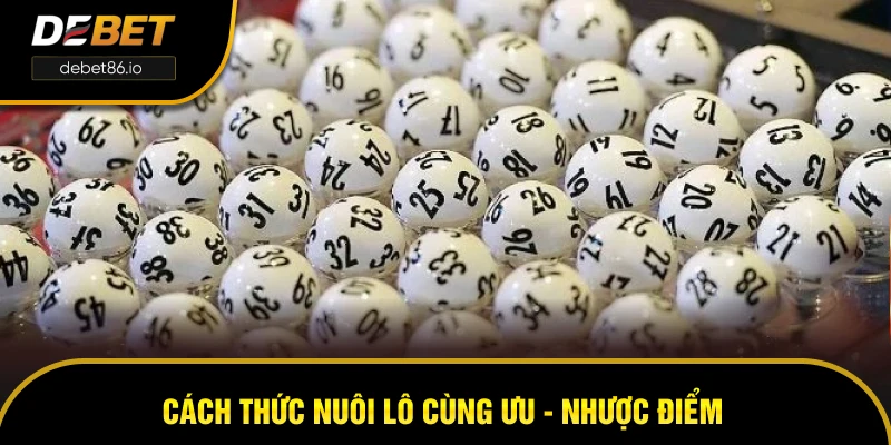 Cách thức nuôi lô cùng ưu - nhược điểm Cách thức nuôi lô cùng ưu - nhược điểm