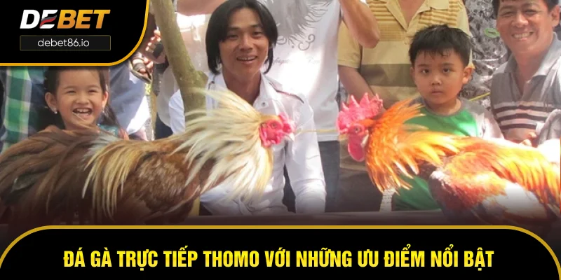 Đá gà trực tiếp Thomo với những ưu điểm nổi bật Đá gà trực tiếp Thomo với những ưu điểm nổi bật