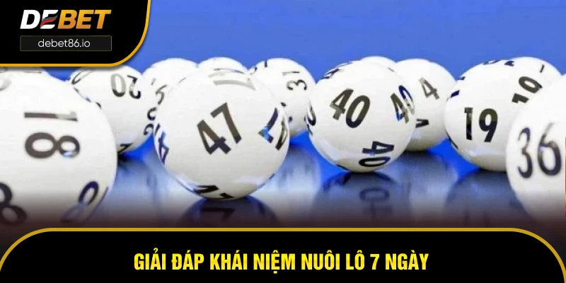 Giải đáp khái niệm nuôi lô 7 ngày Giải đáp khái niệm nuôi lô 7 ngày