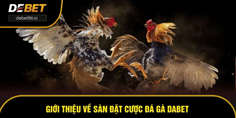 Giới thiệu về sàn đặt cược đá gà DEBET Giới thiệu về sàn đặt cược đá gà DEBET