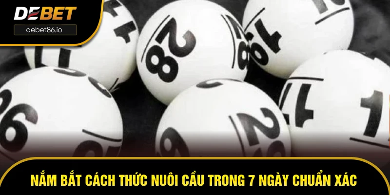 Nắm bắt cách thức nuôi cầu trong 7 ngày chuẩn xác Nắm bắt cách thức nuôi cầu trong 7 ngày chuẩn xác