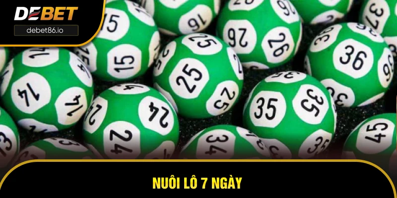 Cách Thức Nuôi Lô 7 Ngày Bất Bại Săn Thưởng Hậu Hĩnh