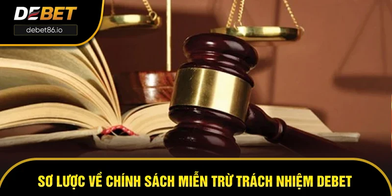 Sơ lược về chính sách miễn trừ trách nhiệm DEBET Sơ lược về chính sách miễn trừ trách nhiệm DEBET