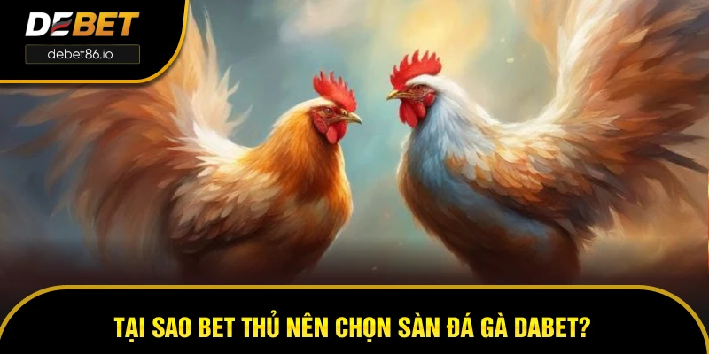 Tại sao bet thủ nên chọn sàn đá gà DEBET? Tại sao bet thủ nên chọn sàn đá gà DEBET?