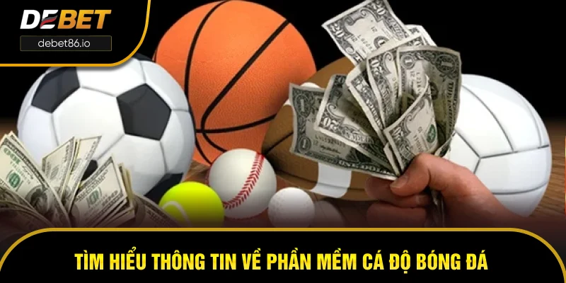 Tìm hiểu thông tin về phần mềm cá độ bóng đá Tìm hiểu thông tin về phần mềm cá độ bóng đá