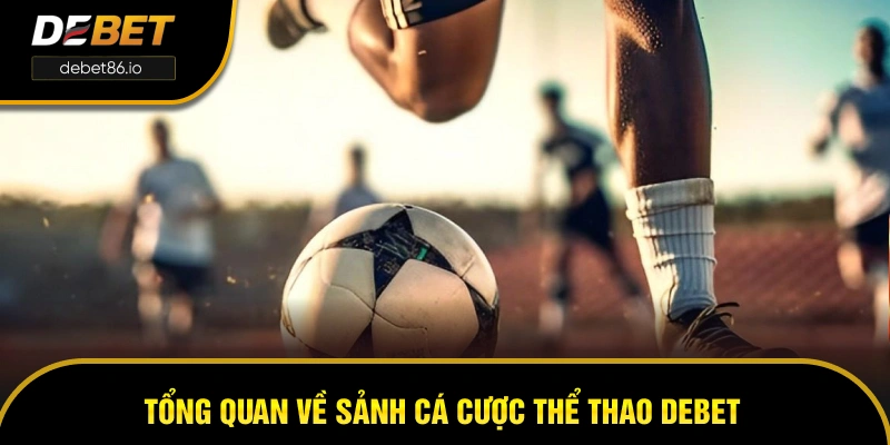 Tổng quan về sảnh cá cược thể thao DEBET Tổng quan về sảnh cá cược thể thao DEBET